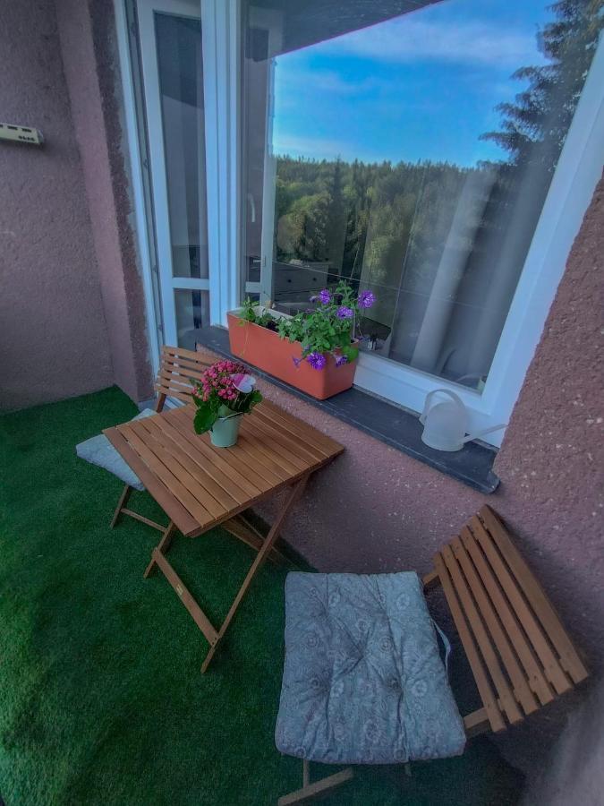 Apartmánek Protěž Janské Lázně Exterior foto