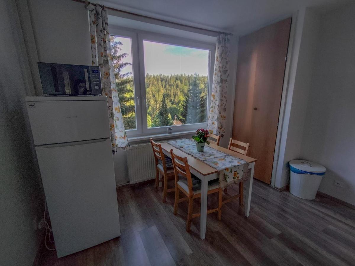 Apartmánek Protěž Janské Lázně Exterior foto