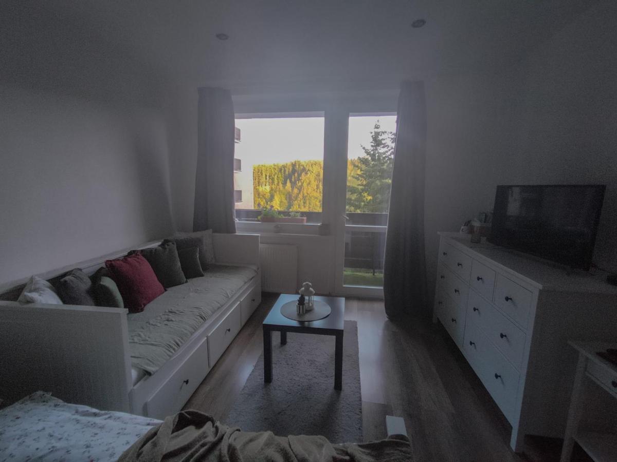 Apartmánek Protěž Janské Lázně Exterior foto