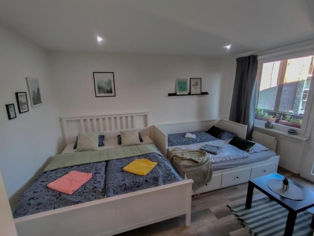 Apartmánek Protěž Janské Lázně Exterior foto